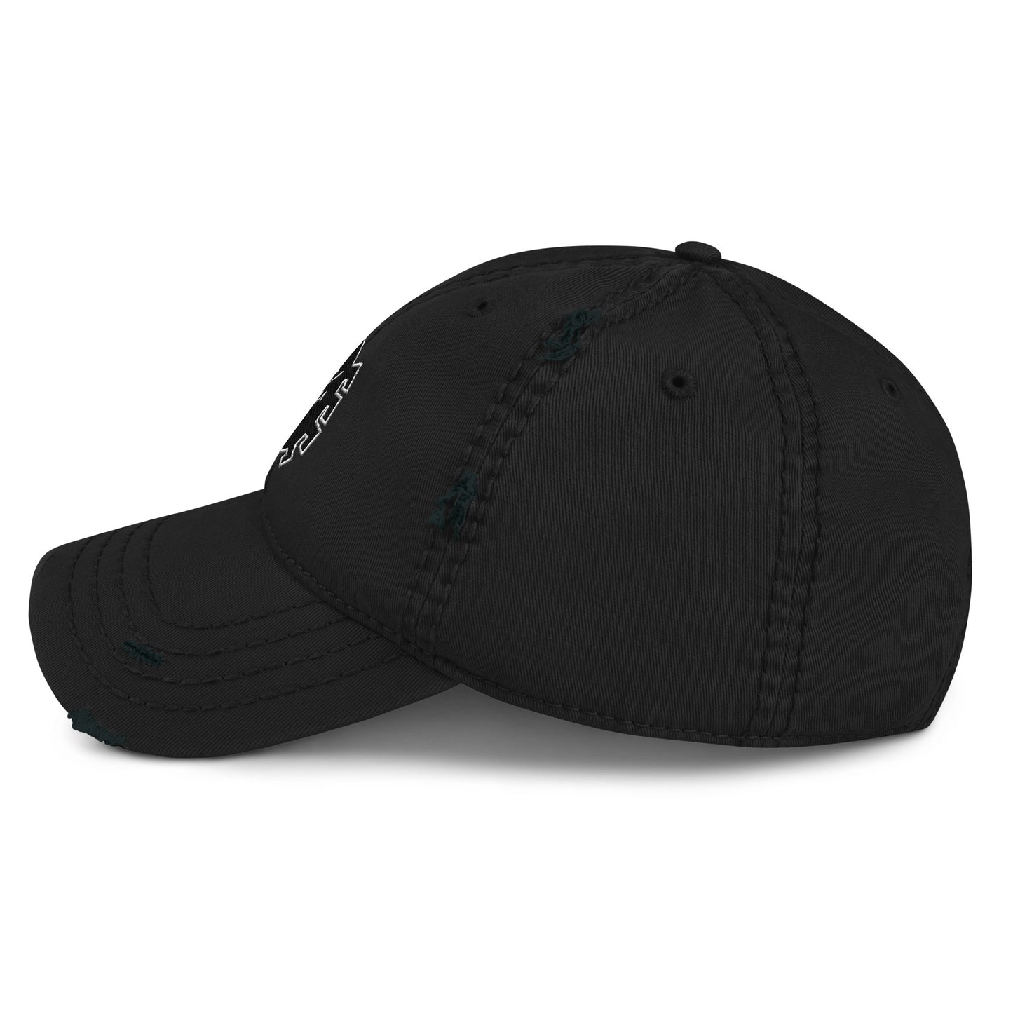Anarchic Spider Embroidered Patch Logo | Friendly Neighborhood FNSM Punk Rock Style Distressed Cap