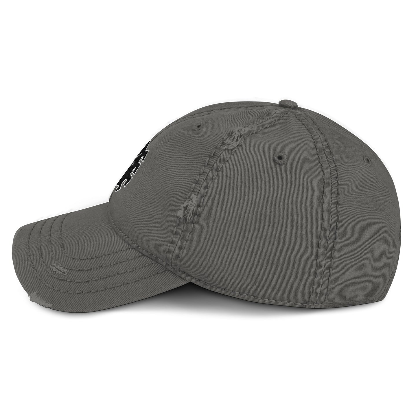 Anarchic Spider Embroidered Patch Logo | Friendly Neighborhood FNSM Punk Rock Style Distressed Cap