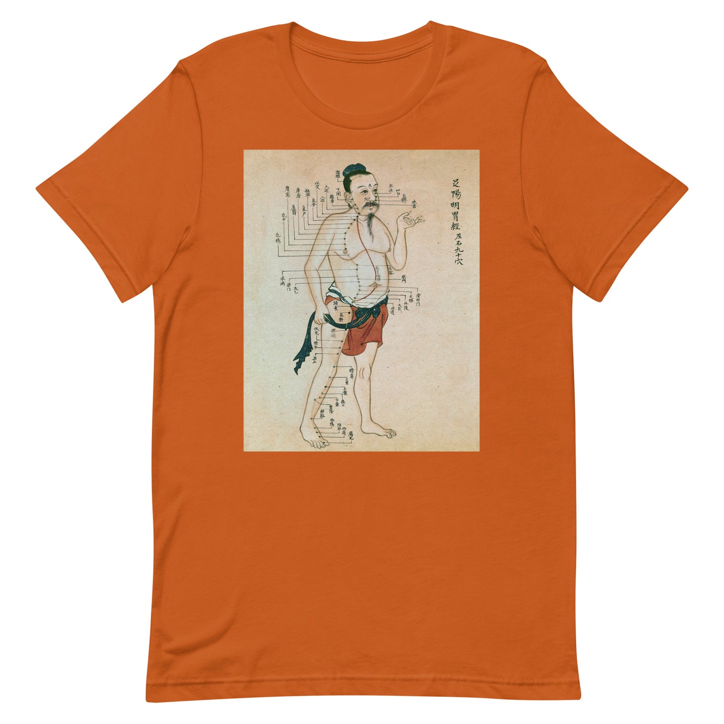 Dim-Mak Ancient Pressure Point Meridian Parchment Softstyle T-Shirt